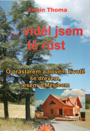 Viděl jsem tě rúst
